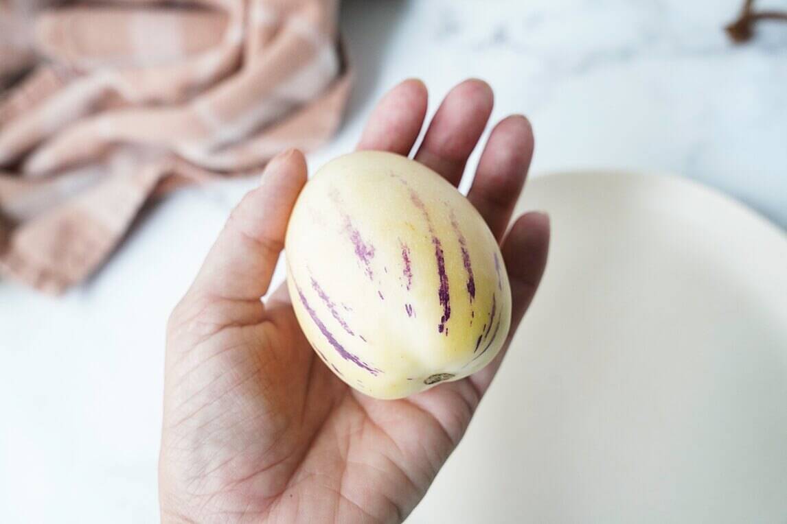 Hand holding a pepino melon