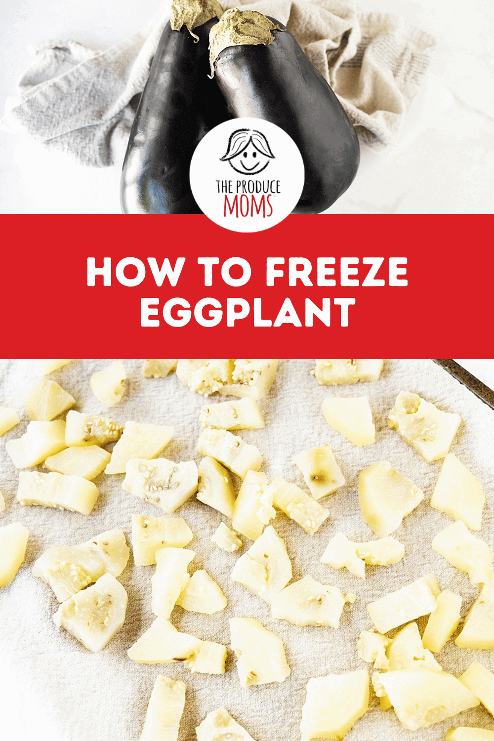 Pinterest Pin How To Freeze Eggplant