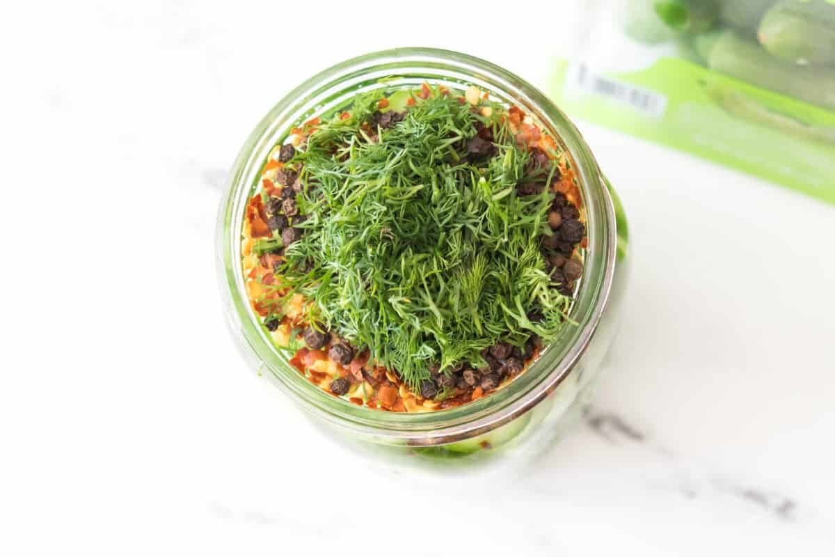 overhead shot of wide mouth mason jar filled with ingredients to make quick pickled cucumbers, showcasing fresh dill, red pepper flakes and peppercorns