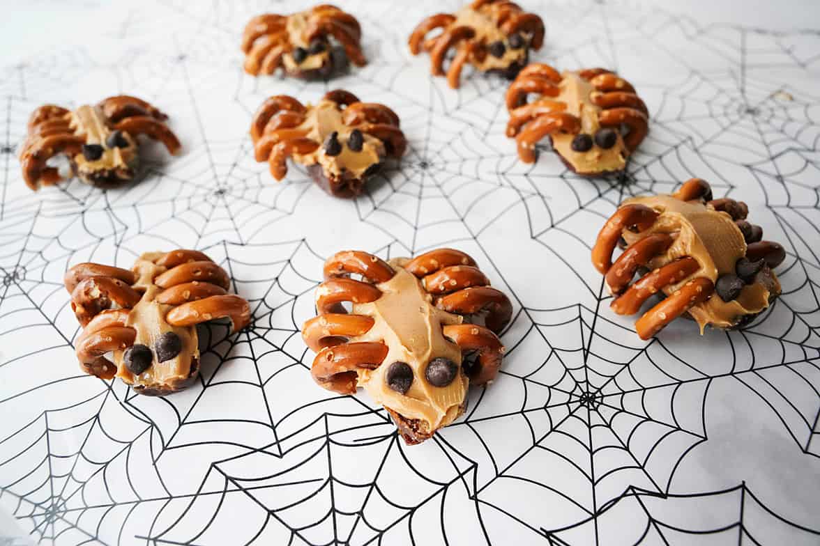 close up shot of date spiders on spiderweb paper