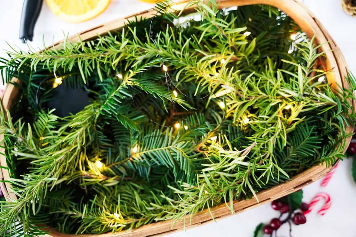 Pines in the basket with twinkle lights