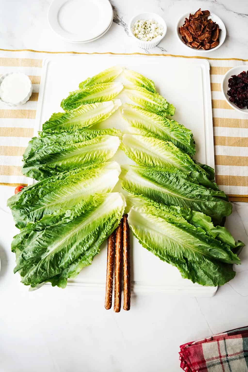 Romaine cups layed out to form a tree on a white board
