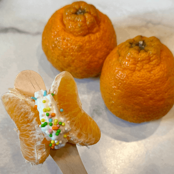 Mandarin Butterfly on a stick with Dekopon mandarins in teh back