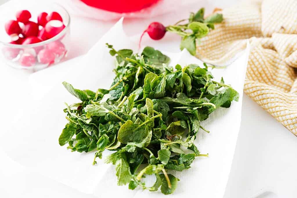 Radish greens on towel drying with whole radishes in background
