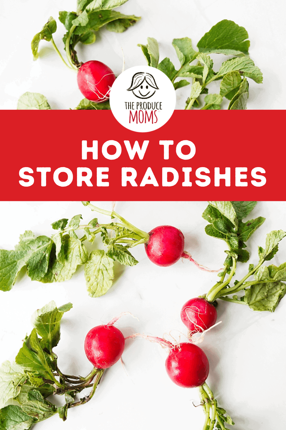 Pinterest Pin How To Store Radishes