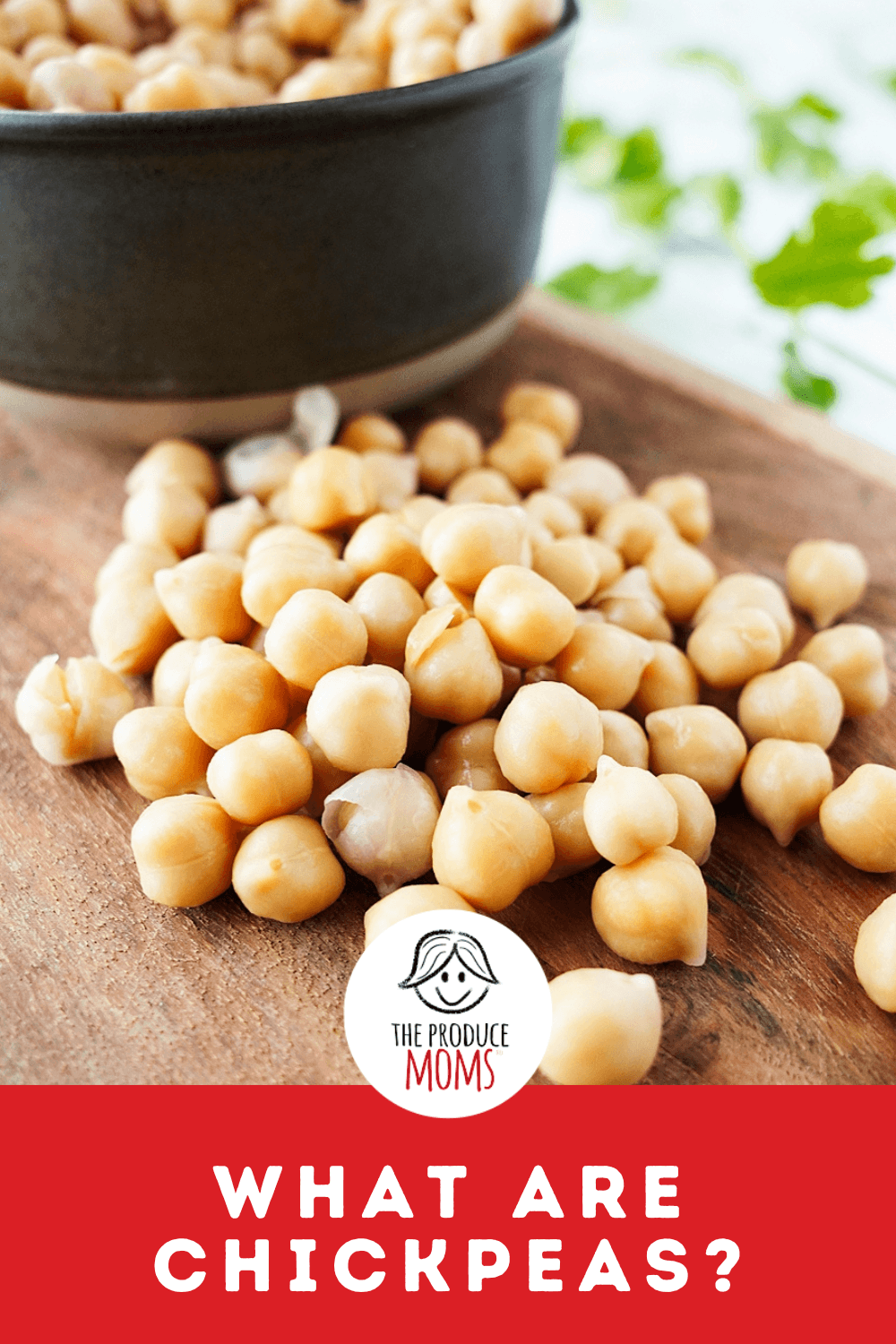 Pinterest Pin What Are Chickpeas