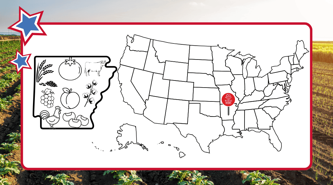 US Map with a pin in Arkansas and an outline of the state with some of the top agricultural commodities