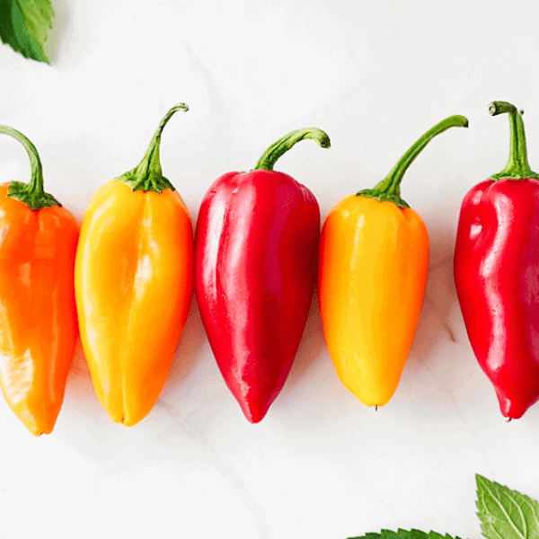Sweet Mini peppers on a counter with herbs