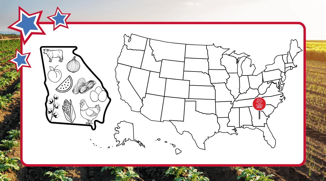 Blog Header Georgia 50 States of Ag