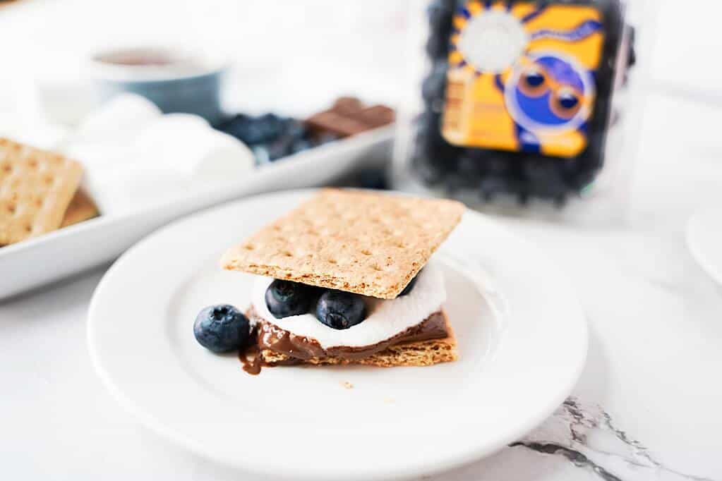 Plate of one Blueberry S'more with fresh blueberries