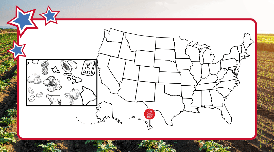 Top agricultural commodities of Hawaii on a map of US