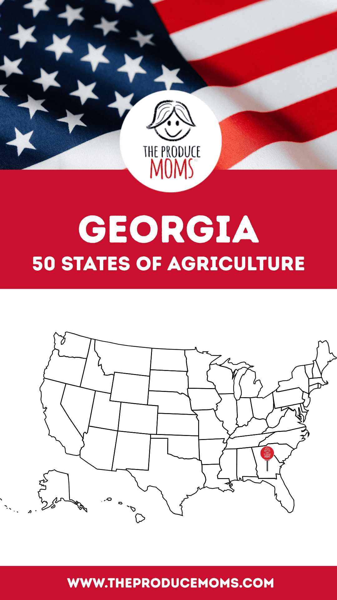 Pinterest Pin Georgia 50 States of Ag