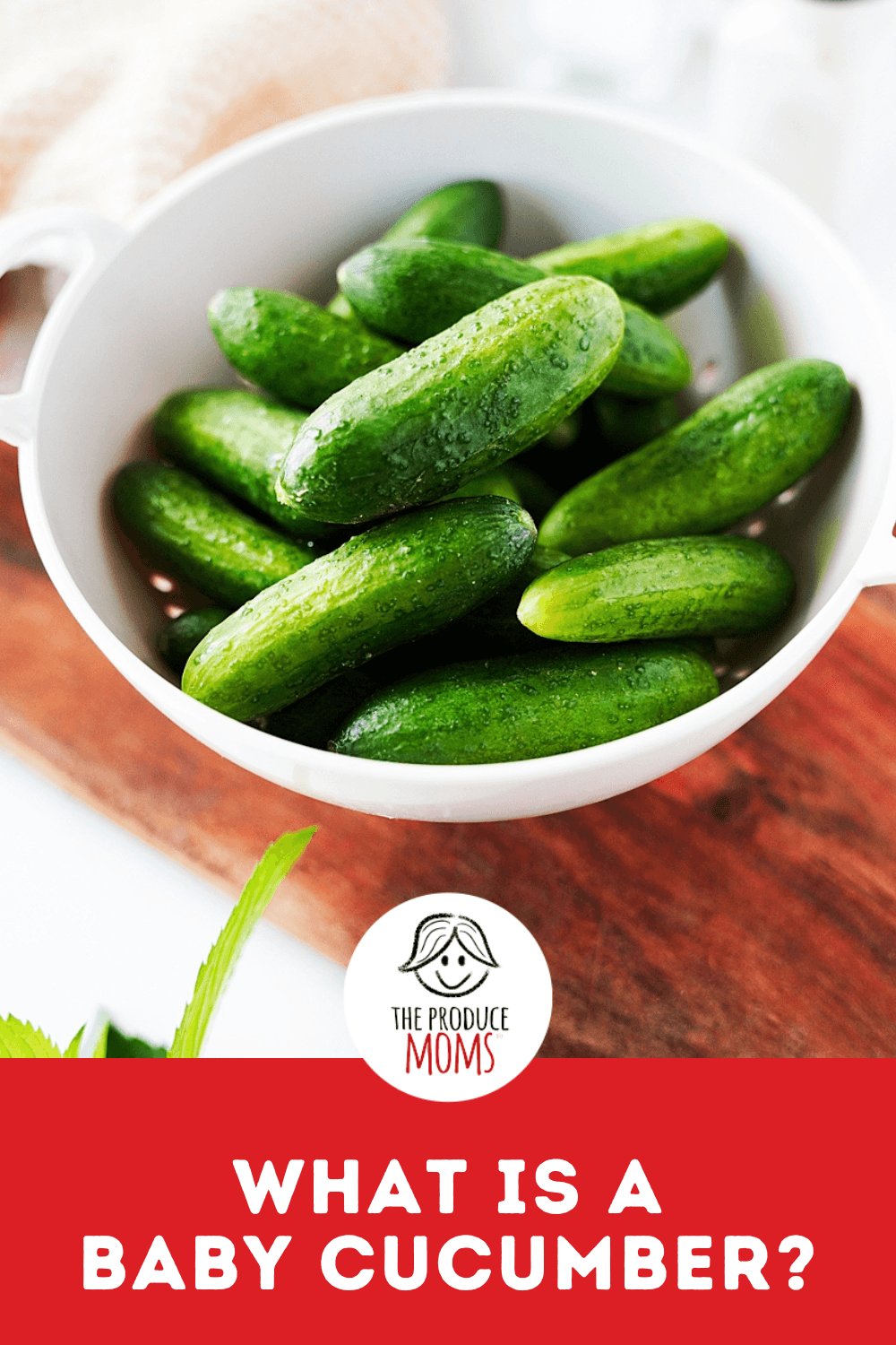 Pinterest Pin What Is A Baby Cucumber