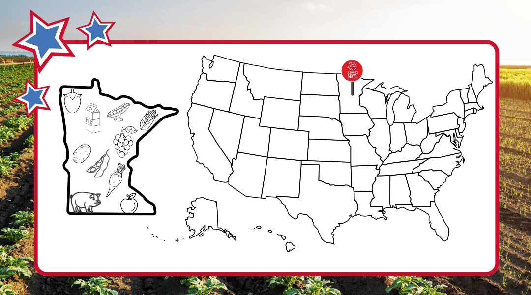 USA map with pin in Minnesota and an outline of Minnesota with thier top agricultural commodities