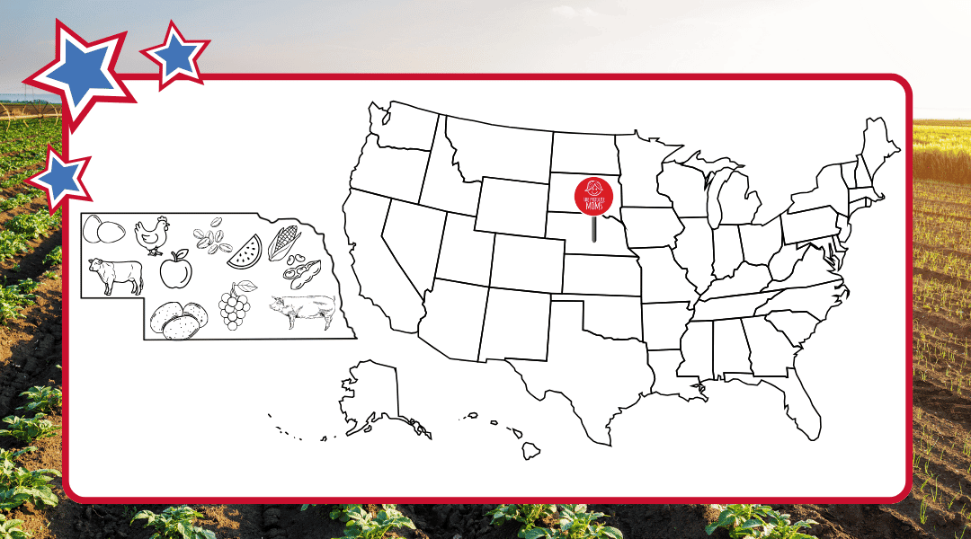 US map with pin in Nebraska with Nebraska state outline with top commodities