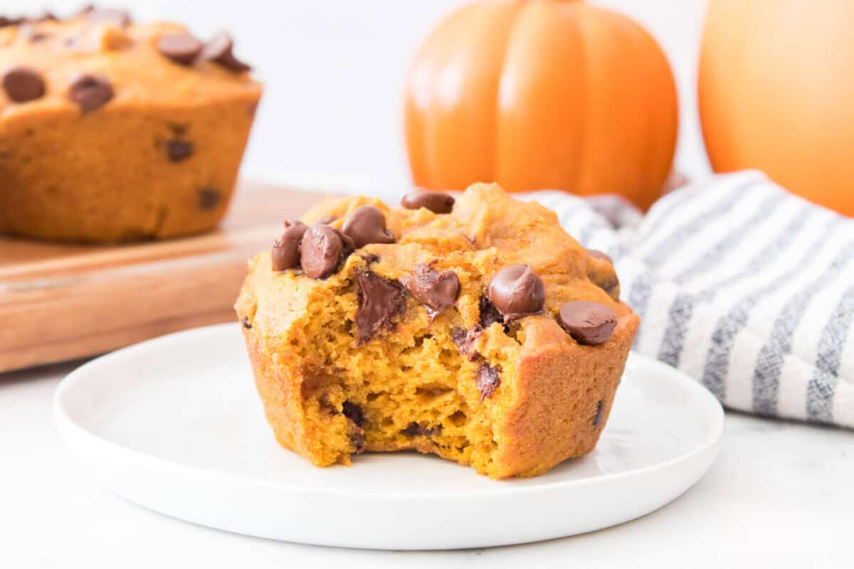 Bite of Chocolate Chip Pumpkin Muffin on white plate
