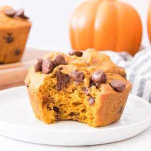 Bite of Chocolate Chip Pumpkin Muffin on white plate