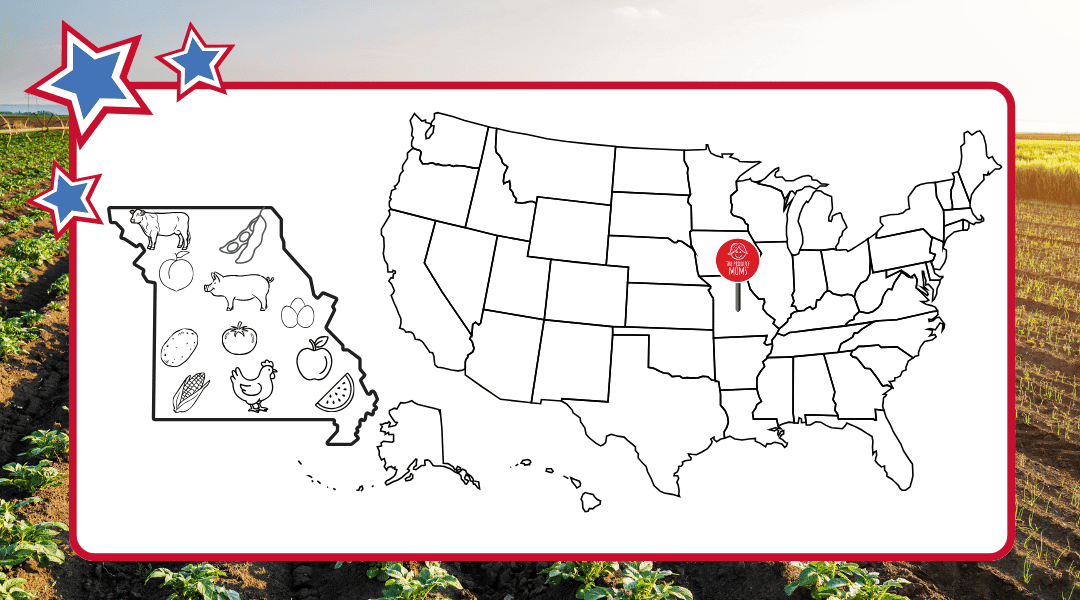 USA Map with pin in Missouri with outline of Missouri and their top agricultural commodities