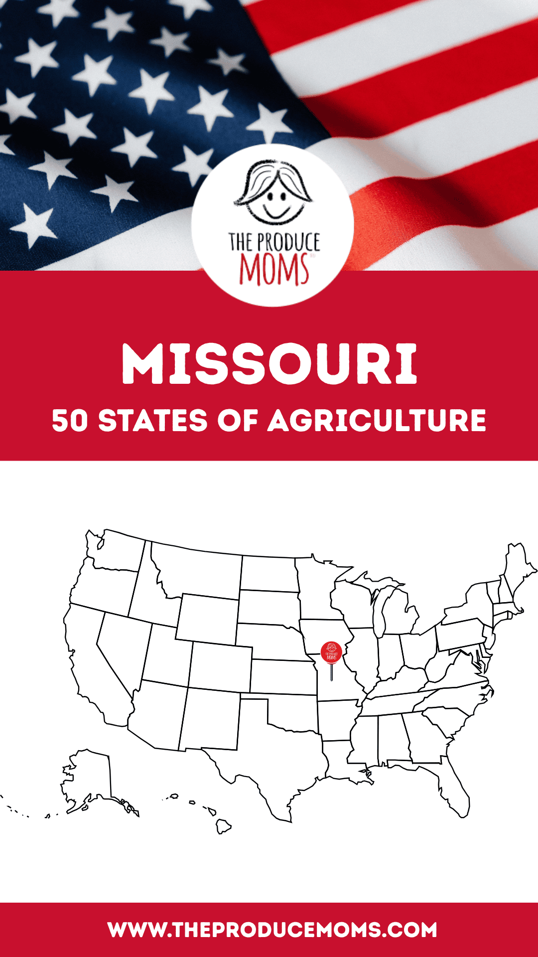 Pinterest Pin 50 States of Missouri